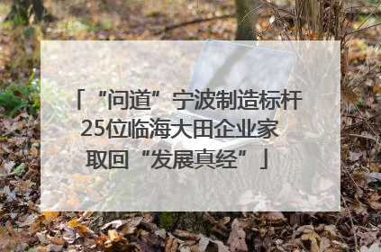“问道”宁波制造标杆 25位临海大田企业家取回“发展真经”